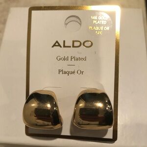 Aldo Chubby Curve Hoop Earrings